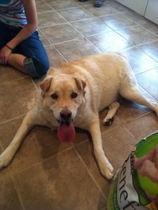 22298737261_99e48db930_b